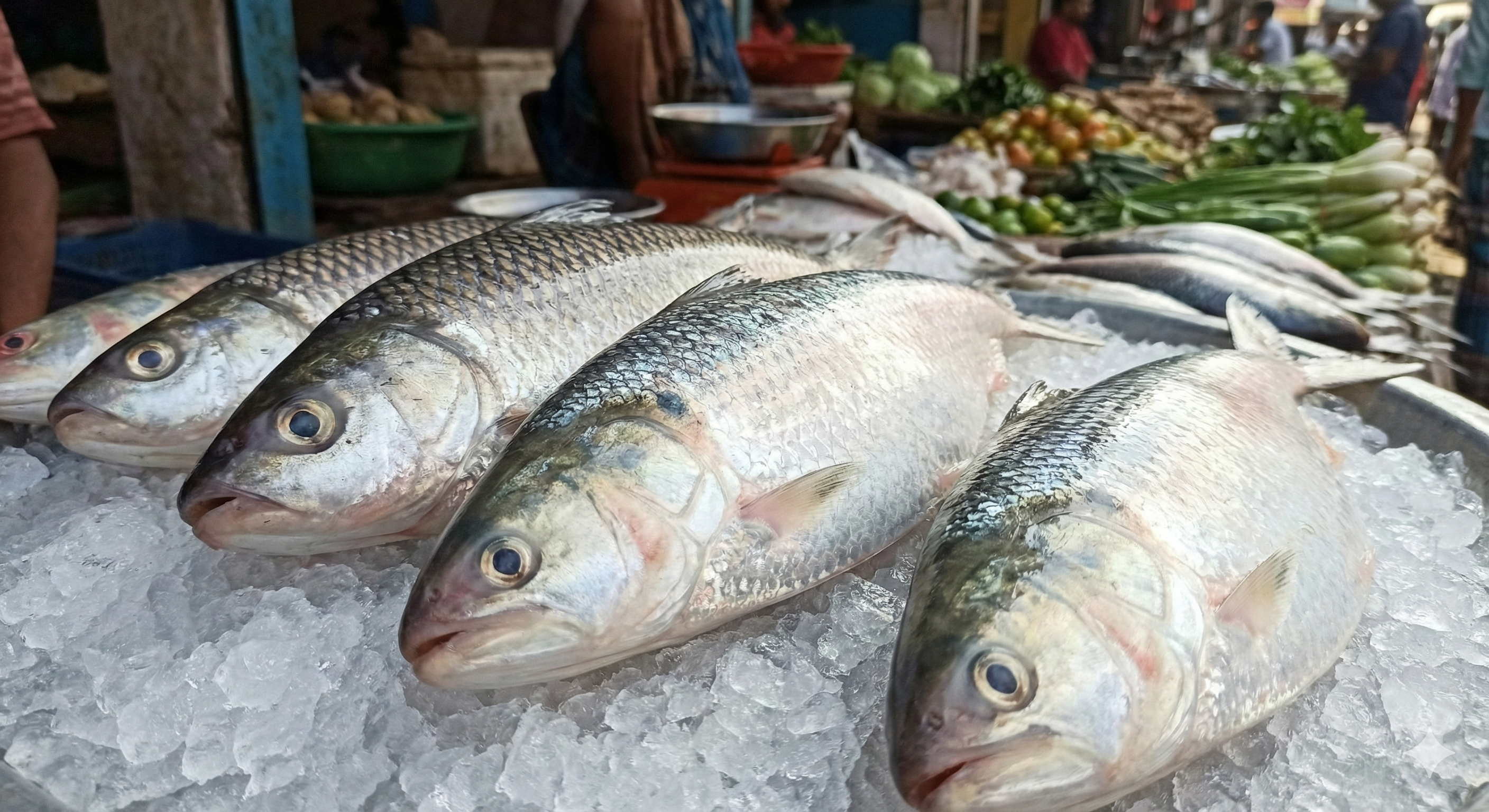 Fresh Whole River Fish on Ice